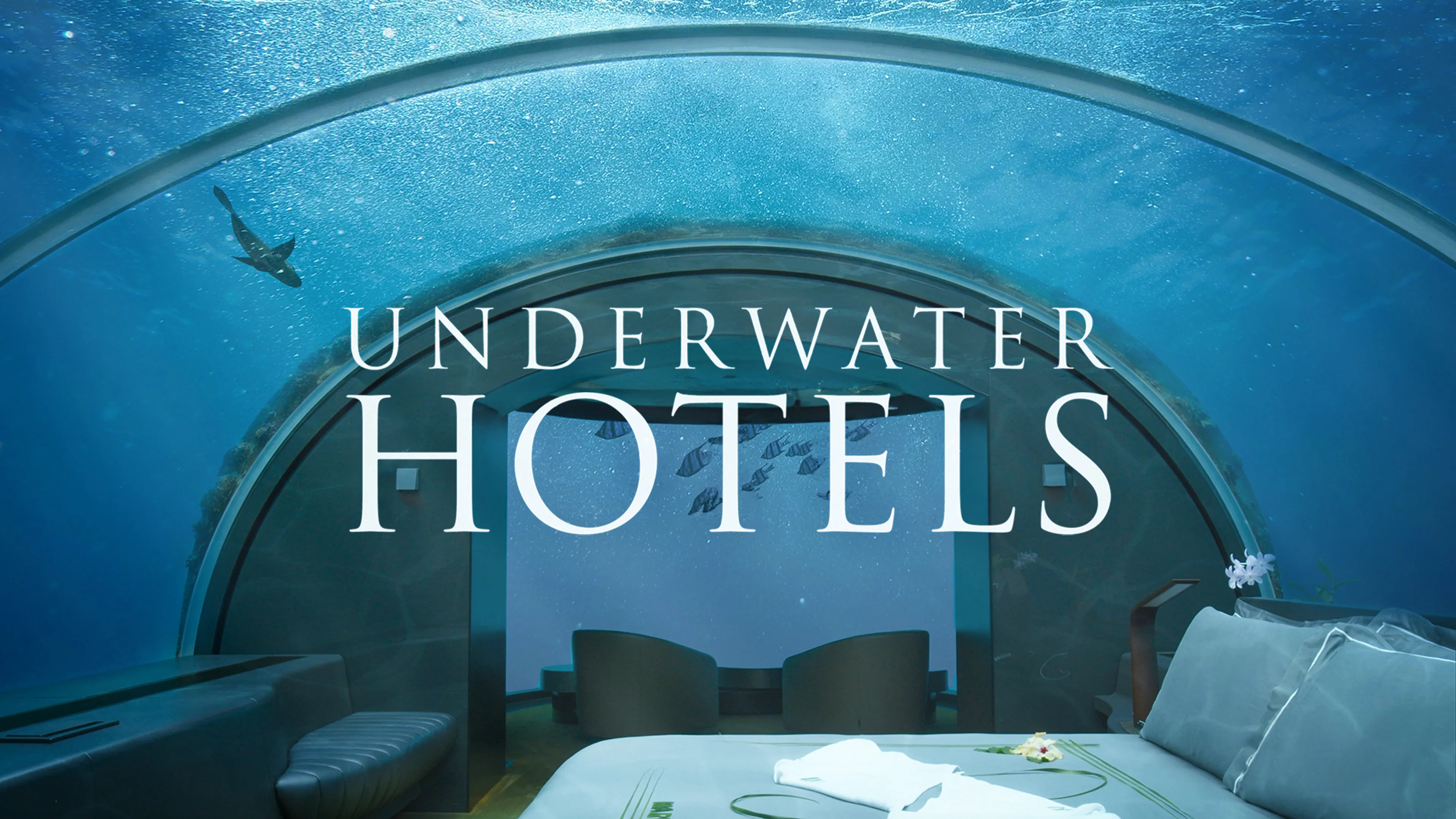 Underwater Hotels poster